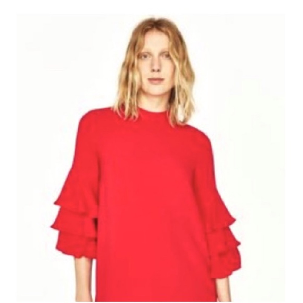 Hp Zara Basic Collection Ruffle Sleeve Top - image 1